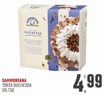 Sammontana Torta Duchessa