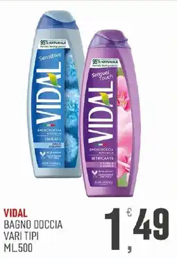Maxipiù Vidal bagno doccia vari tipi offerta