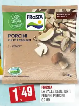 Maxipiù Frosta funghi porcini offerta