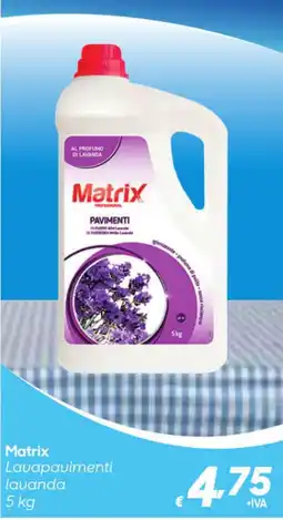 Pac Cash&Carry Matrix Lavapavimenti lavanda offerta