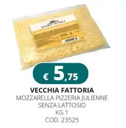 Altasfera Vecchia Fattoria Mozzarella Pizzeria Julienne senza lattosio offerta