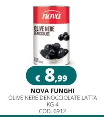 Nova olive nere denocciolate