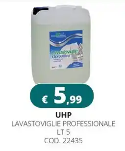 Altasfera Lavastoviglie professionale offerta
