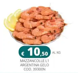 Altasfera Mazzancolle L1 Argentina Gelo offerta