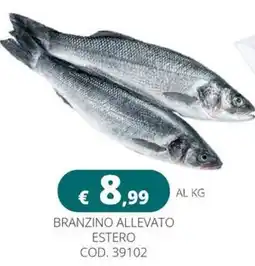 Altasfera Branzino allevato estero offerta