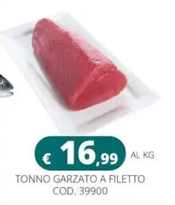 Altasfera Tonno garzato a filetto offerta
