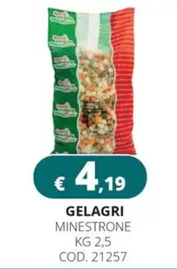 Altasfera Gelagri minestrone offerta