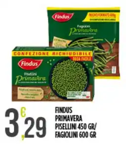 Euroesse Findus Primavera offerta