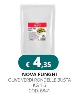 Altasfera Nova Funghi Olive Verdi Rondelle Busta offerta