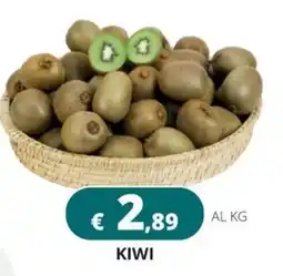 Altasfera Kiwi offerta