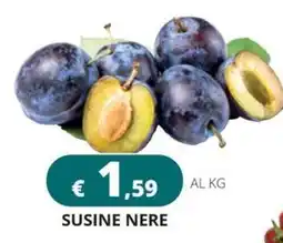 Altasfera Susine Nere offerta