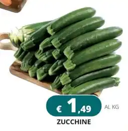 Altasfera Zucchine offerta