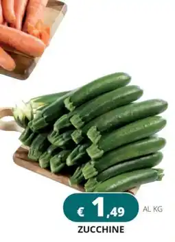 Altasfera Zucchine offerta
