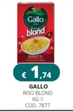 Altasfera Gallo riso blond offerta