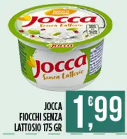 Euroesse Jocca fiocchi senza lattosio offerta