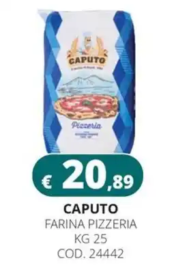 Altasfera Caputo farina pizzeria offerta