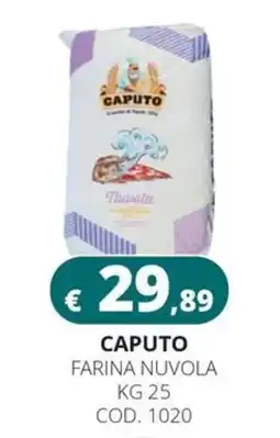 Altasfera Caputo Farina Nuvola offerta