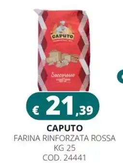 Altasfera Caputo farina rinforzata rossa offerta