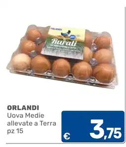 C+C Cash and Carry Uova Medie allevate a Terra offerta