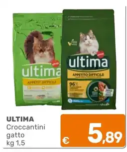 C+C Cash and Carry Ultima Croccantini gatto offerta