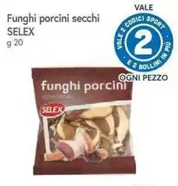 Galassia Funghi porcini secchi SELEX offerta