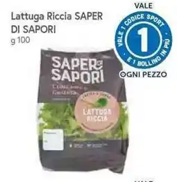 Galassia Lattuga Riccia Saper di Sapori offerta