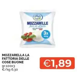 Maxisconto Mozzarella la fattoria delle cose buone offerta