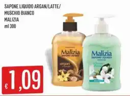 IperSisa Sapone liquido Malizia offerta