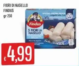 IperSisa Findus 5 Fiori di Nasello offerta