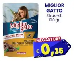 Punto Shopping Megastore Miglior gatto Straccetti offerta