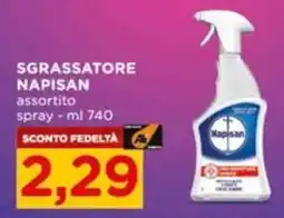 Alì Supermercati Sgrassatore Napisan offerta