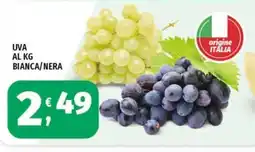 Vivo Supermercati Uva bianca/nera offerta