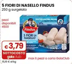 Gala Supermercati 5 Fiori di Nasello Findus offerta
