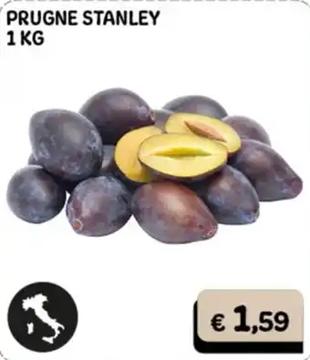 Prugne Stanley