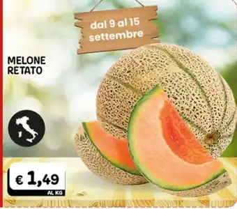 Melone retato