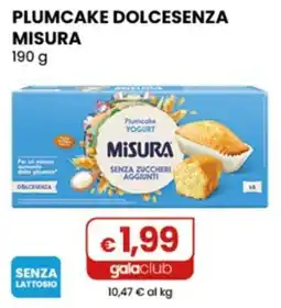 Gala Supermercati Plumcake Dolcesenza Misura offerta