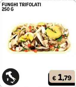 Gala Supermercati Funghi trifolati offerta