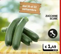 Gala Supermercati Zucchine scure offerta