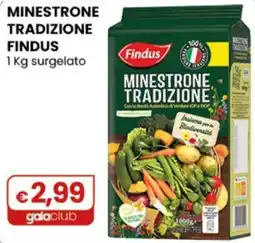 Gala Supermercati Minestrone tradizione Findus offerta