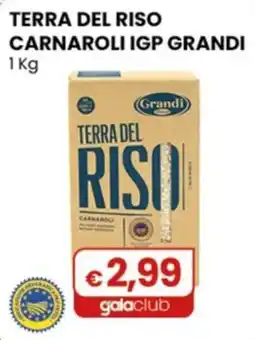 Gala Supermercati Terra del Riso Carnaroli IGP Grandi offerta