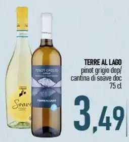 Ciro Amodio Pinot grigio dop/ cantina di soave doc offerta