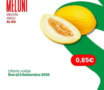 Meloni gialli