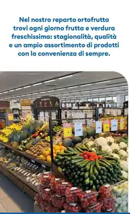 MD Discount Zucchine offerta