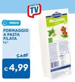 MD Discount Mozzarella Cammino D'Oro offerta