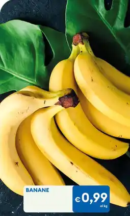 MD Discount Banane offerta
