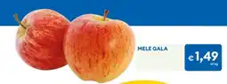 MD Discount Mele Gala offerta
