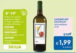 MD Discount Lucido IGT Enotrium offerta