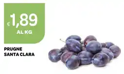 Ekom Prugne Santa Clara offerta