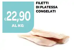 Ekom Filetti di platessa congelati offerta