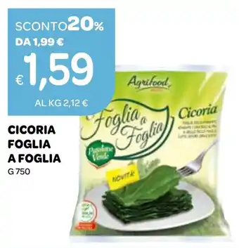 Cicoria foglia a foglia Agrifood
